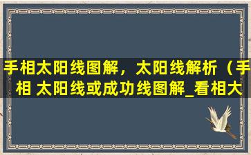 手相太阳线图解，太阳线解析（手相 太阳线或成功线图解_看相大全）